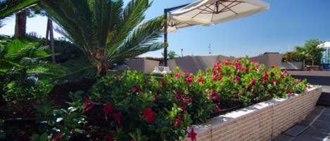 A landscaped outdoor area with a brick planter filled with red flowers, a palm tree, and a white umbrella.