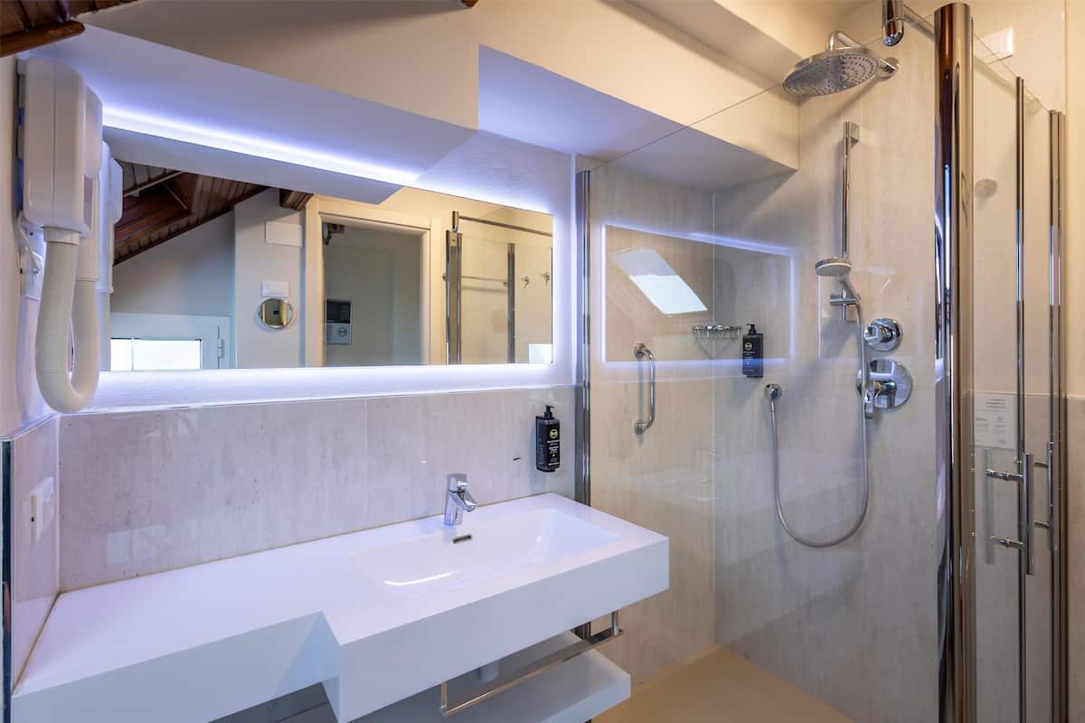 shower, free toiletries, hair dryer, bidet