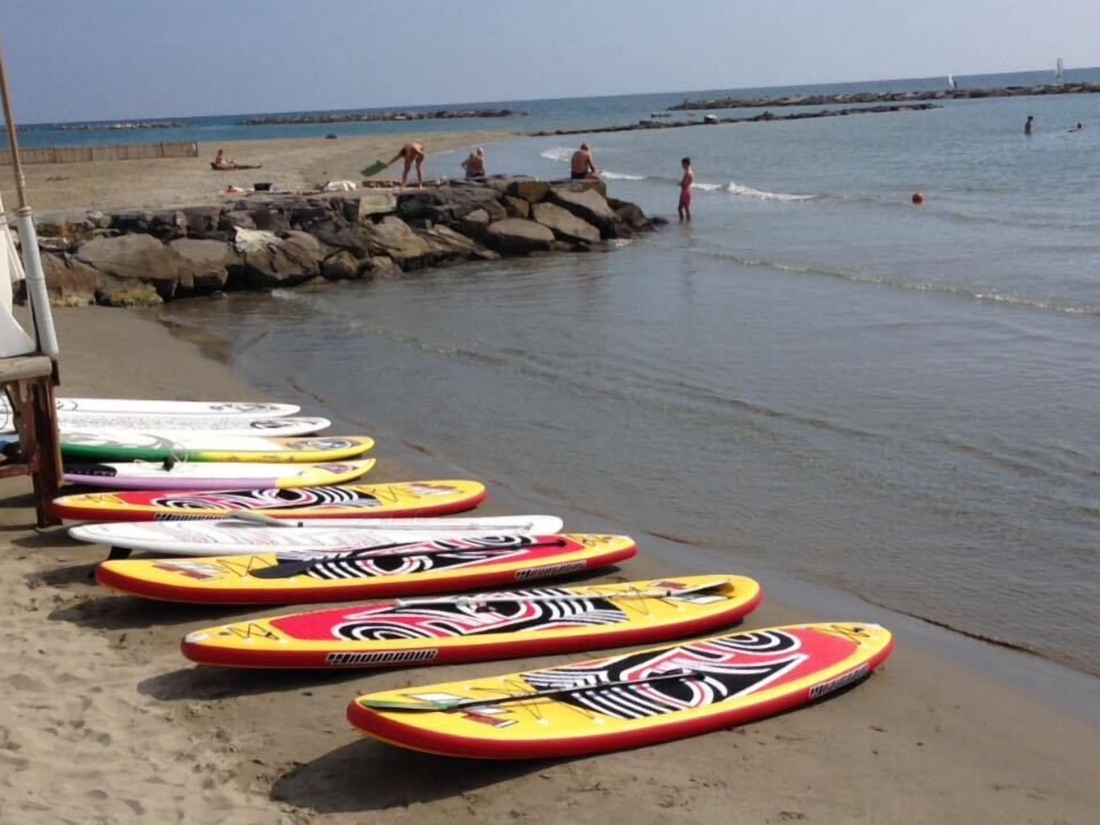 Várias pranchas de bodyboard coloridas alinhadas na areia, perto da água.