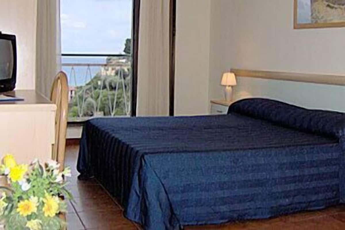 Camera d'albergo con un letto, una scrivania con televisore, un comodino con lampada e una finestra vista verde.