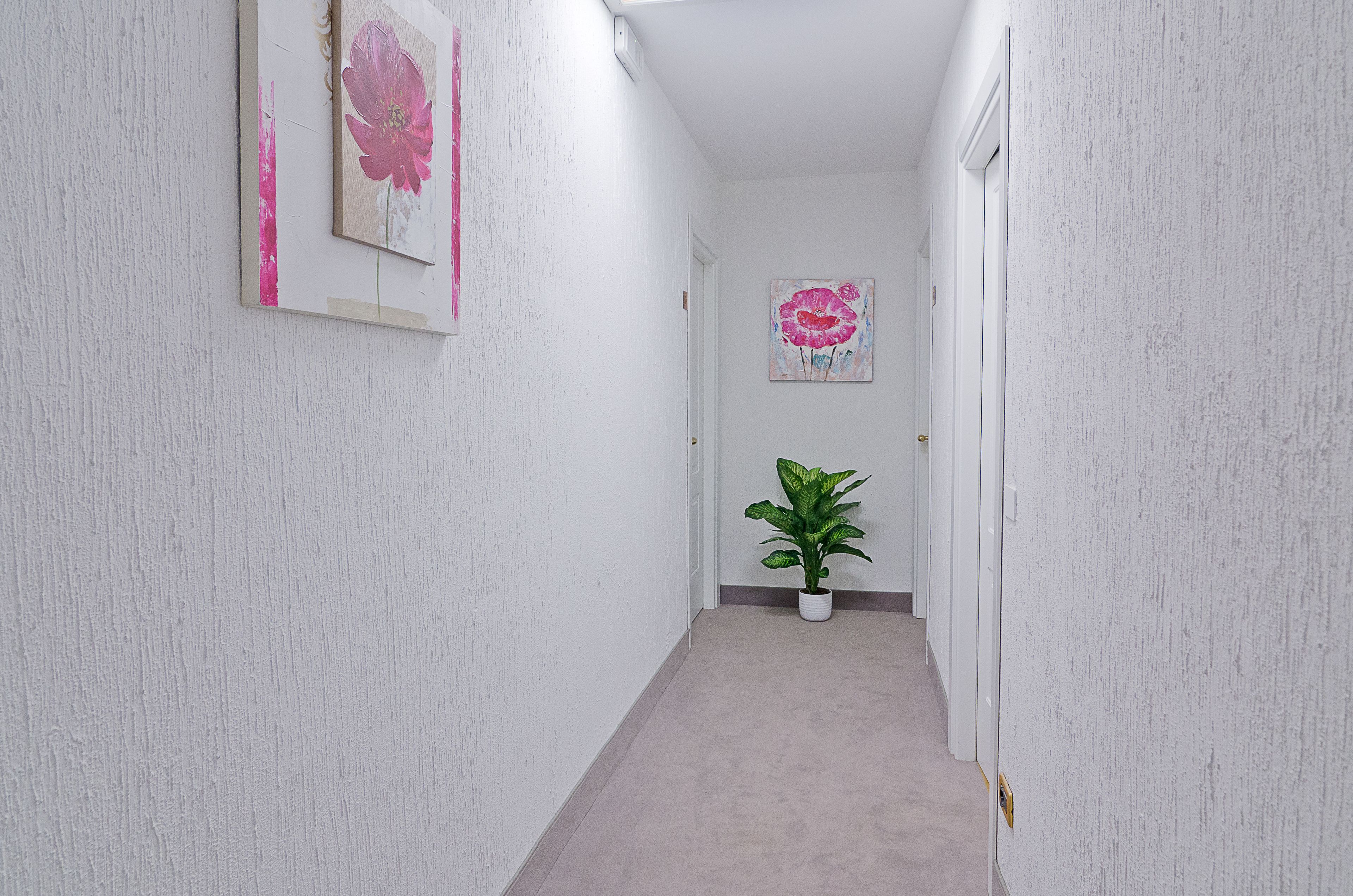 Un pasillo estrecho con paredes blancas, una planta en maceta y dos cuadros con flores rosadas.
