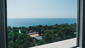 Vista desde una ventana con vistas a una zona costera, vegetación exuberante y mar azul cristalino.