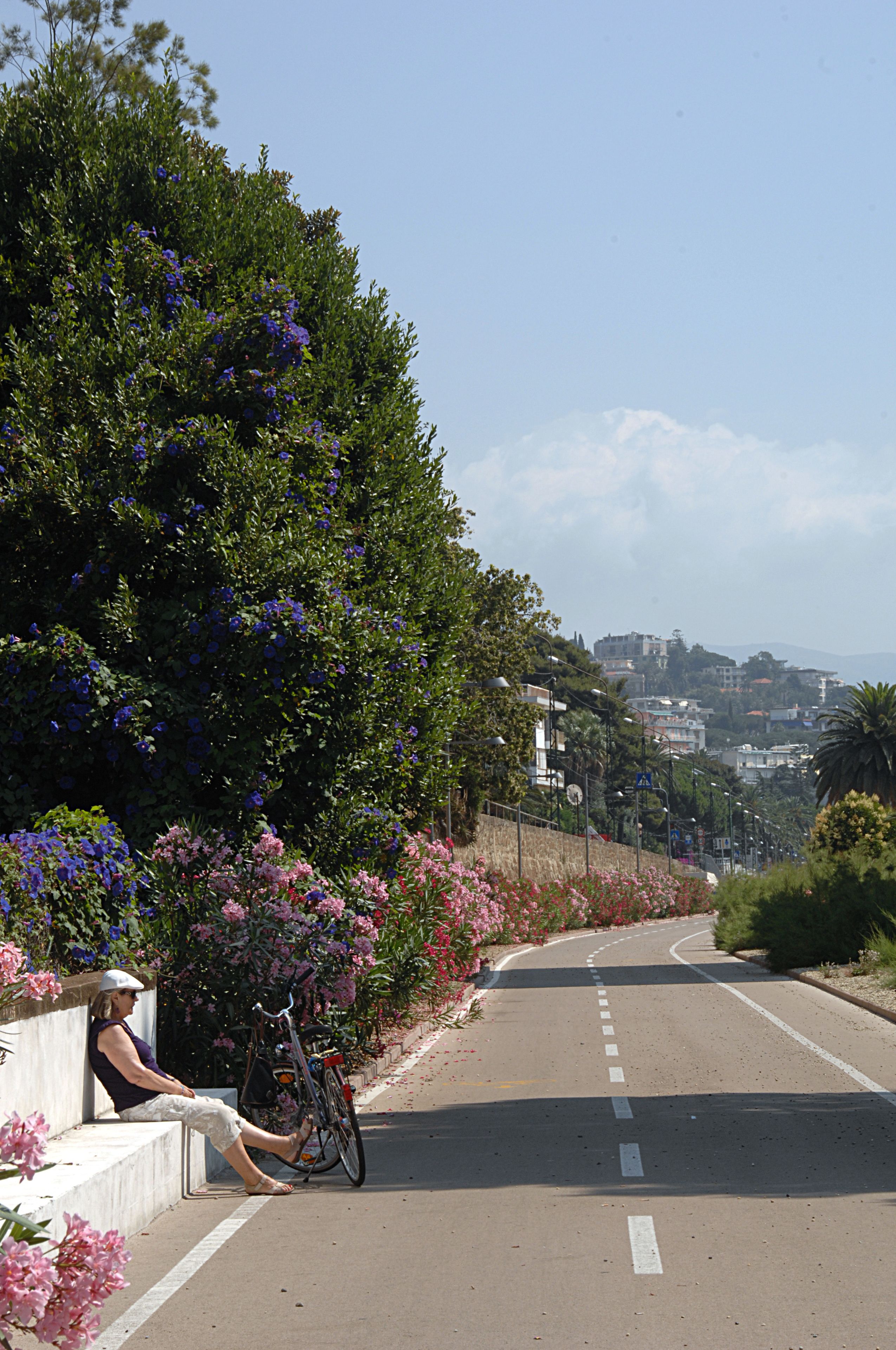 Photo - Bobby Executive