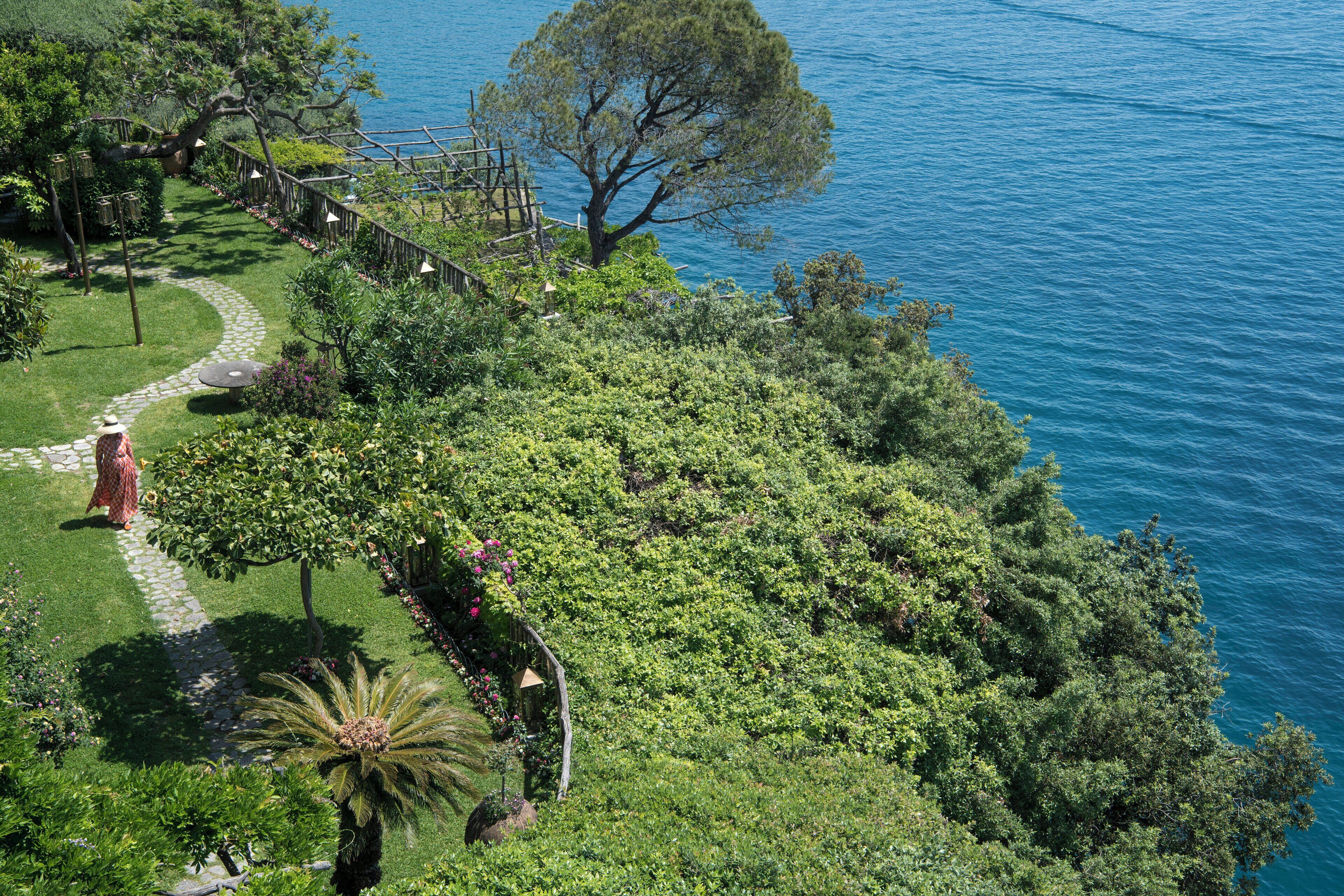 A lush garden with a winding path, a palm tree, and a large tree overlooking a body of water.