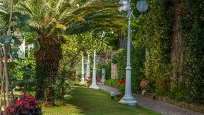 Un chemin de jardin bordé de colonnes blanches, entouré d’une végétation luxuriante et agrémenté de plantes en pot.