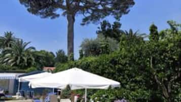 Alberca al aire libre por temporada y camastros