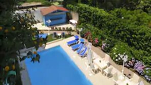 Un espace piscine avec des chaises longues et un grand arbre.