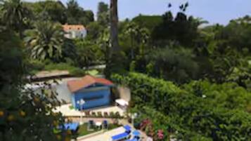 A pool area with lounge chairs and a large tree.