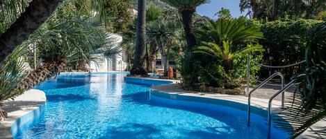 A clear blue swimming pool surrounded by lush tropical vegetation and a white building in the background.
