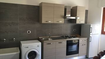 Appartamento, 2 camere da letto, edificio separato | Cucina privata | Frigorifero