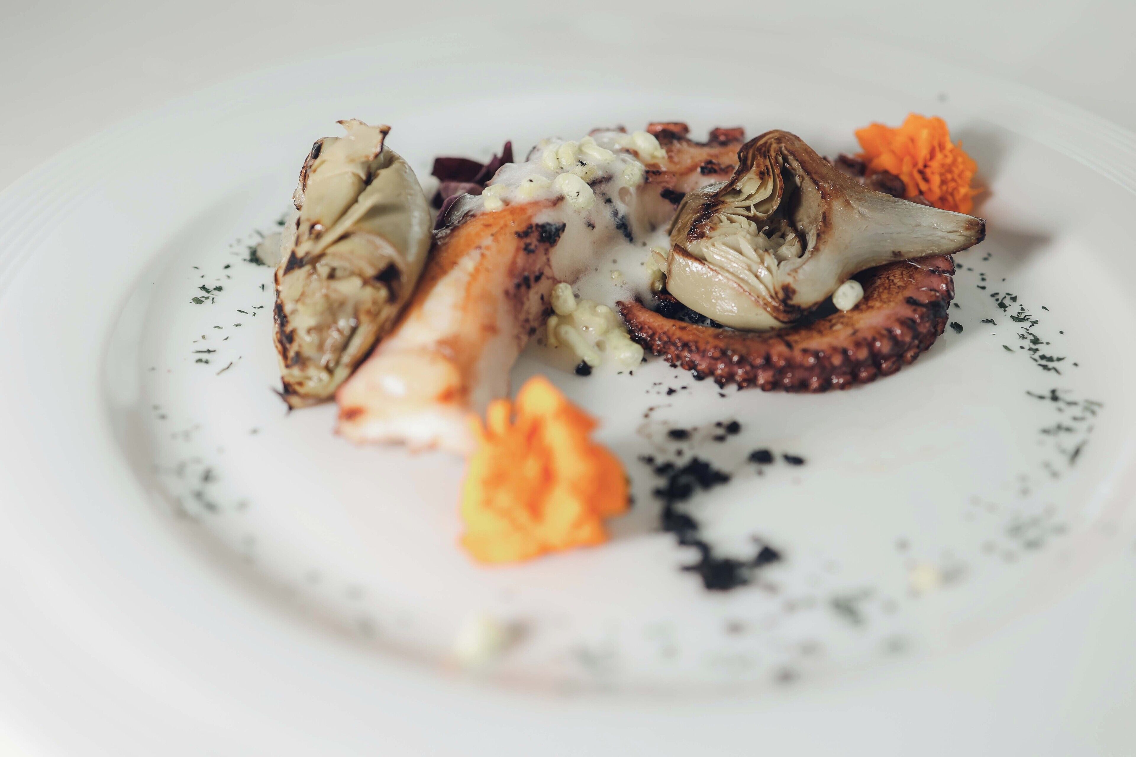 A plate with grilled octopus, artichoke, and orange flower garnish.