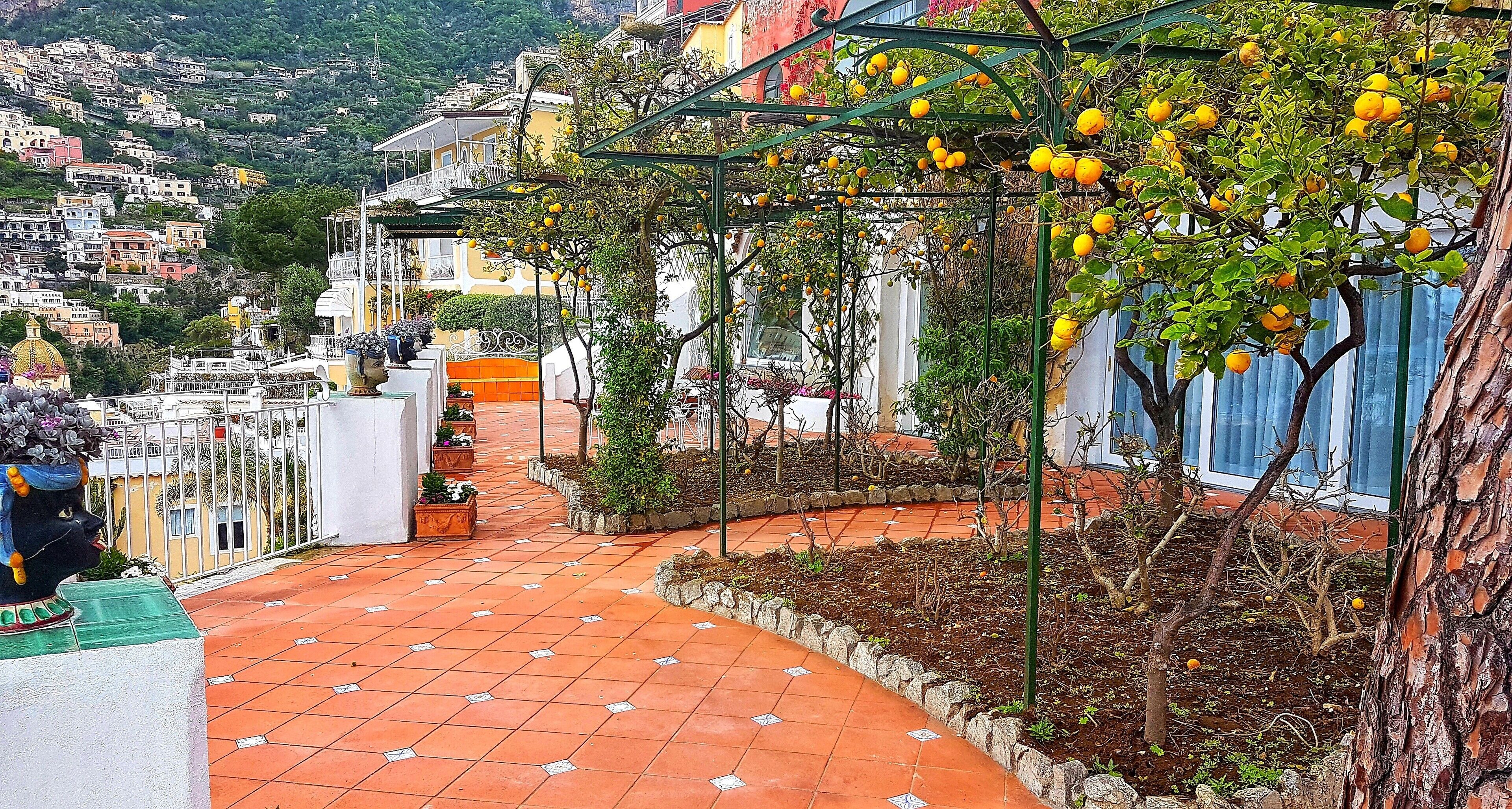A terraced hillside with a pathway leading through terracotta-tiled steps.
