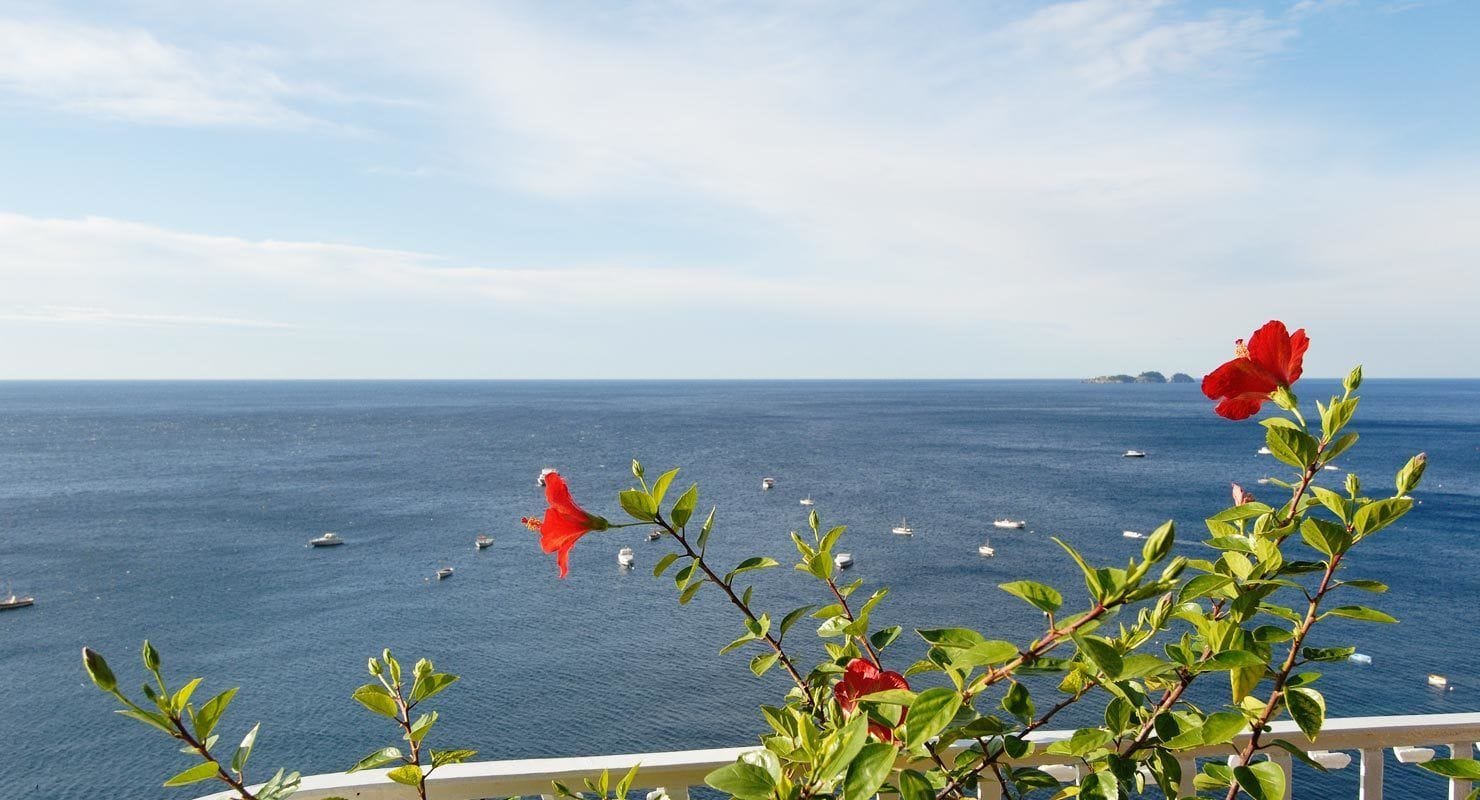 Uma varanda com vista para o mar, barcos e flores vermelhas.