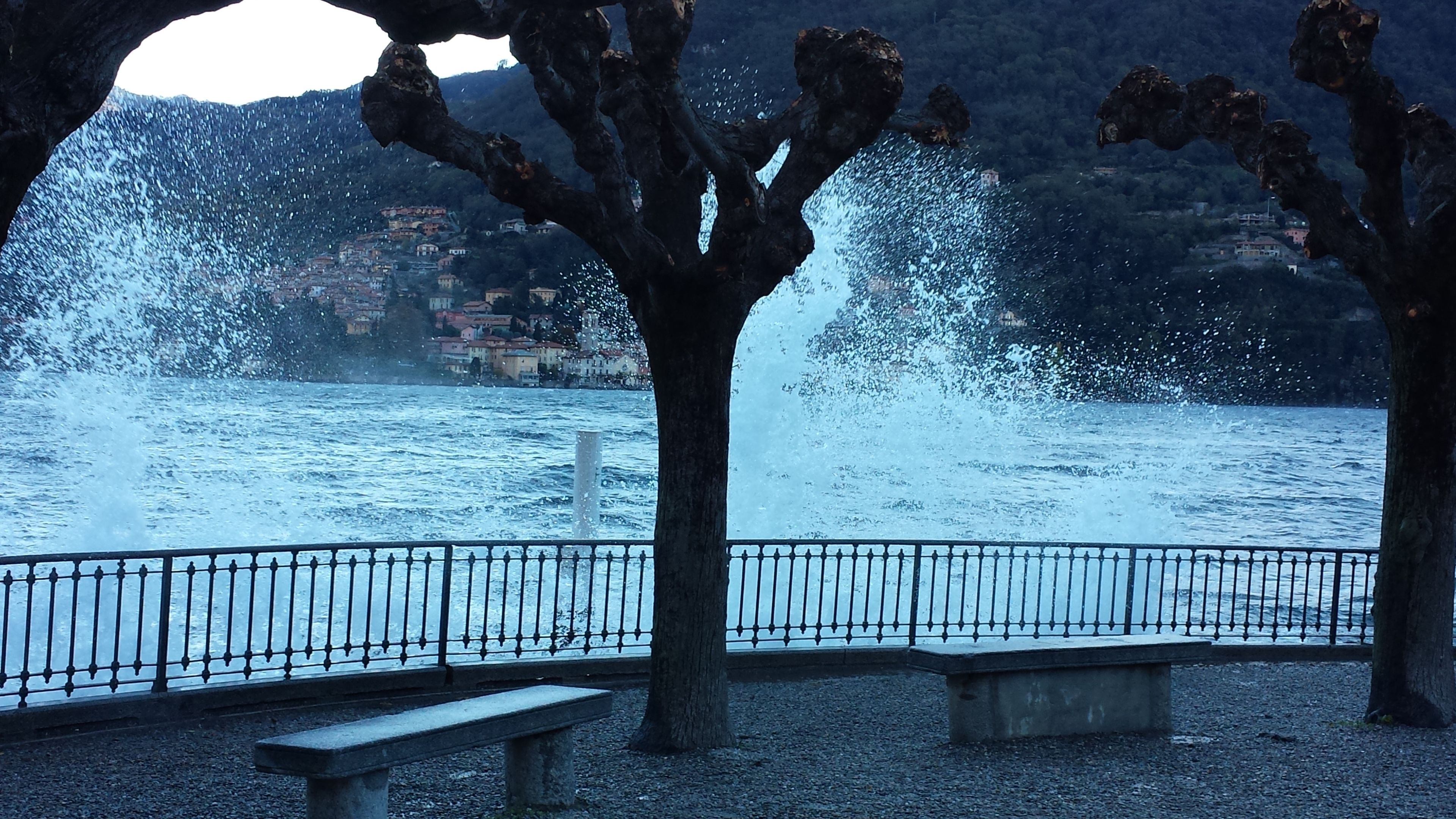 A bench and trees overlooking a body of water with a railing in the foreground.