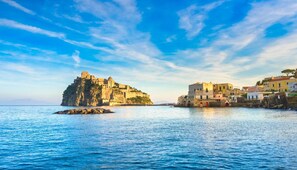 A coastal town with a historic castle on a rocky outcrop and colorful buildings along the shore. - Hotel Royal Terme (Ischia)