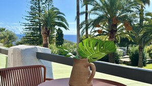 Dobbeltrom – superior, ikke-røyk | Terrasse/patio