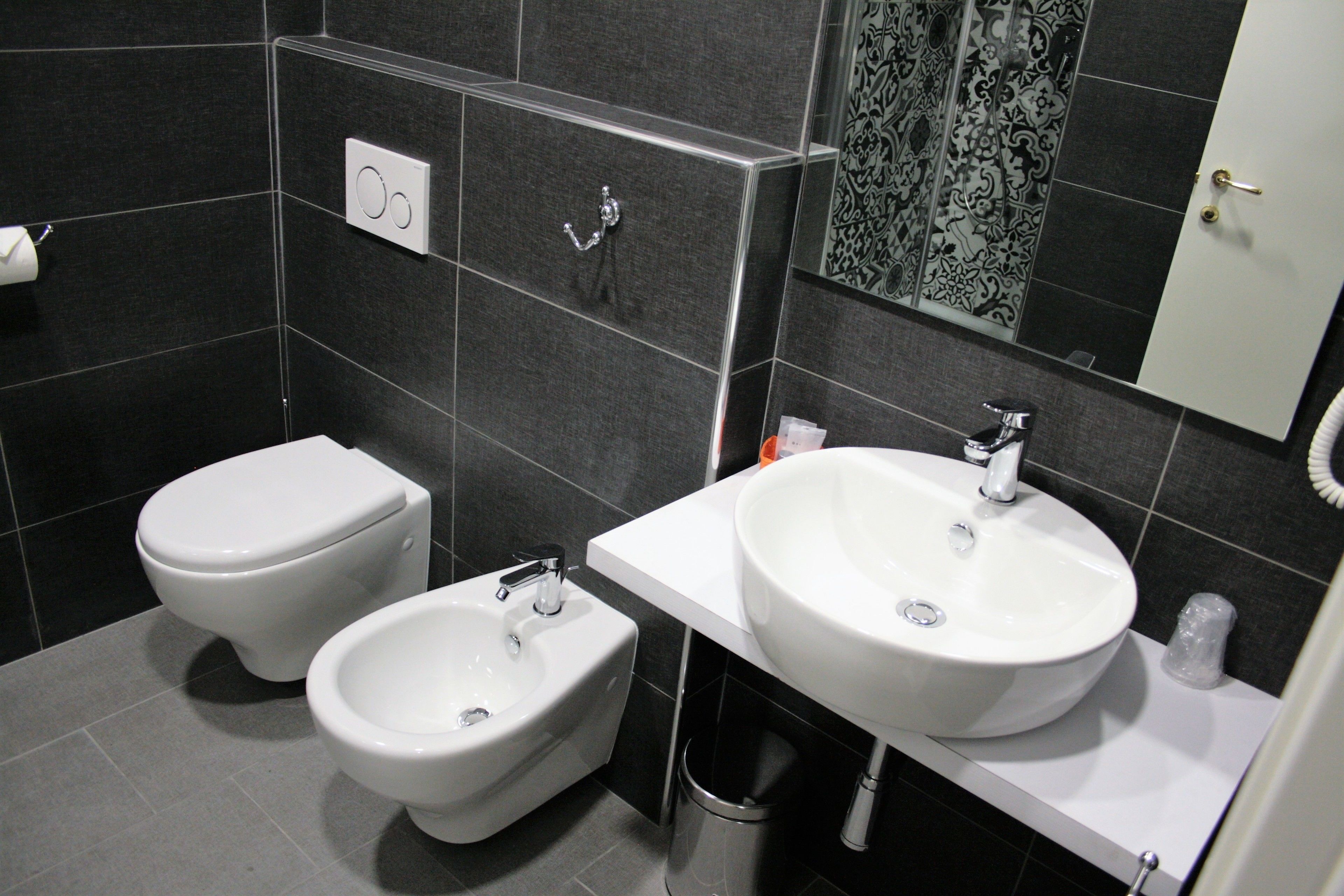 shower, free toiletries, hair dryer, bidet