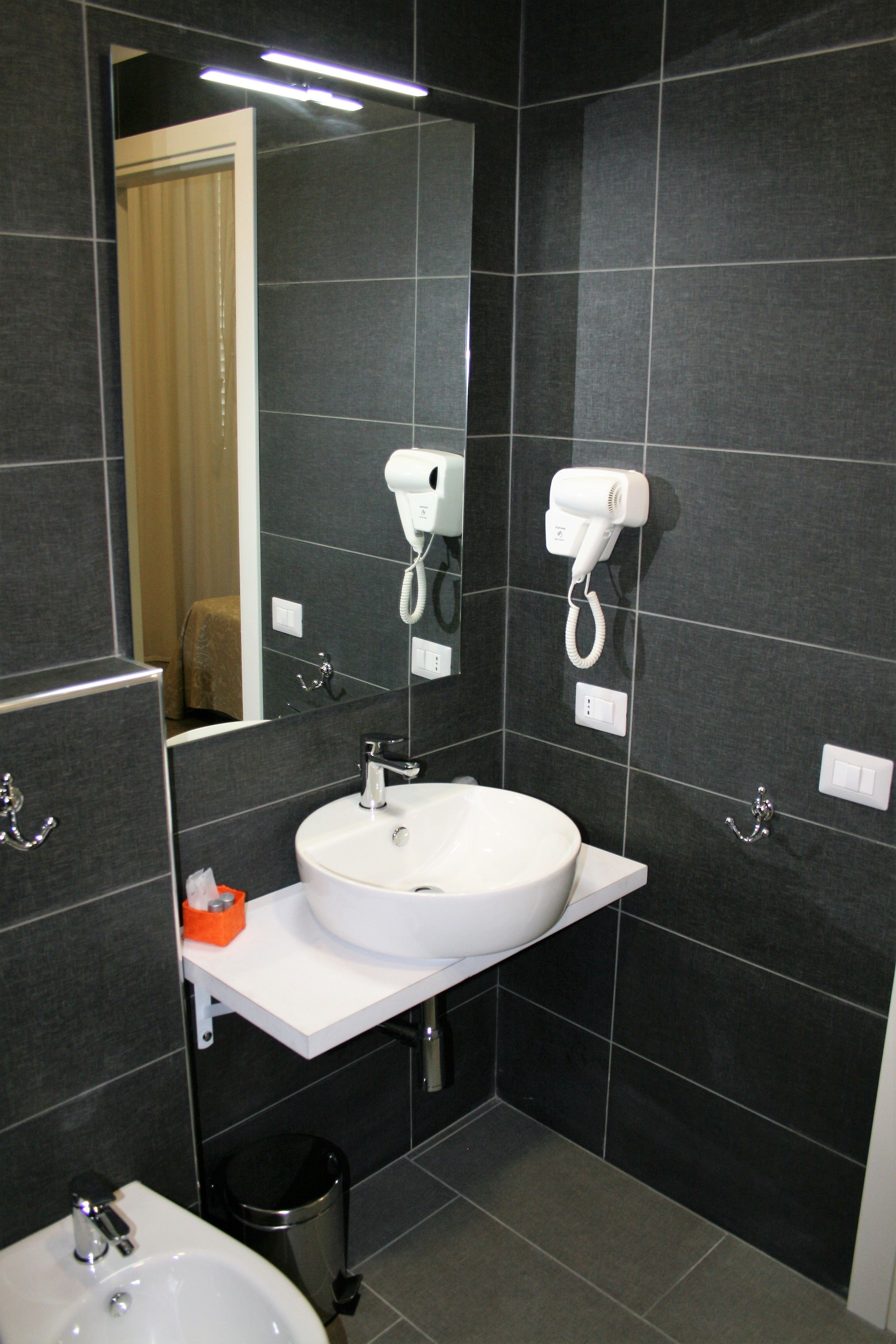 shower, free toiletries, hair dryer, bidet