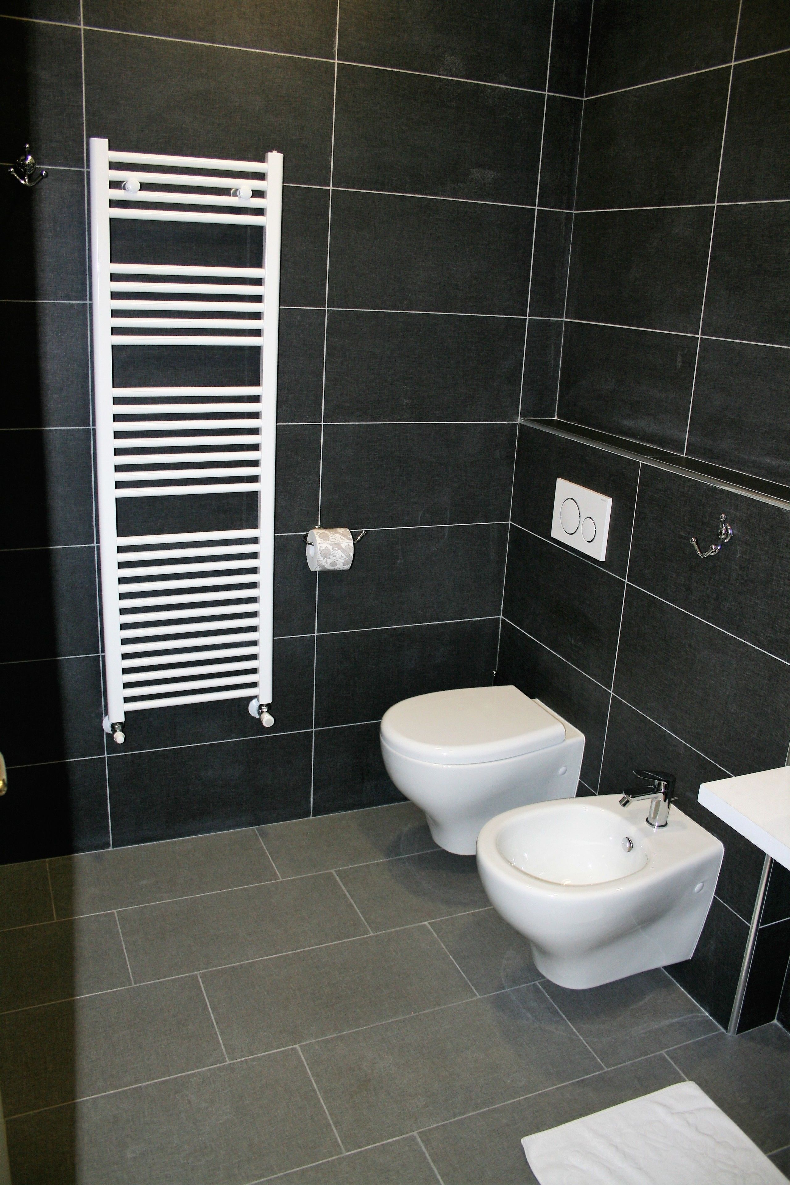 shower, free toiletries, hair dryer, bidet