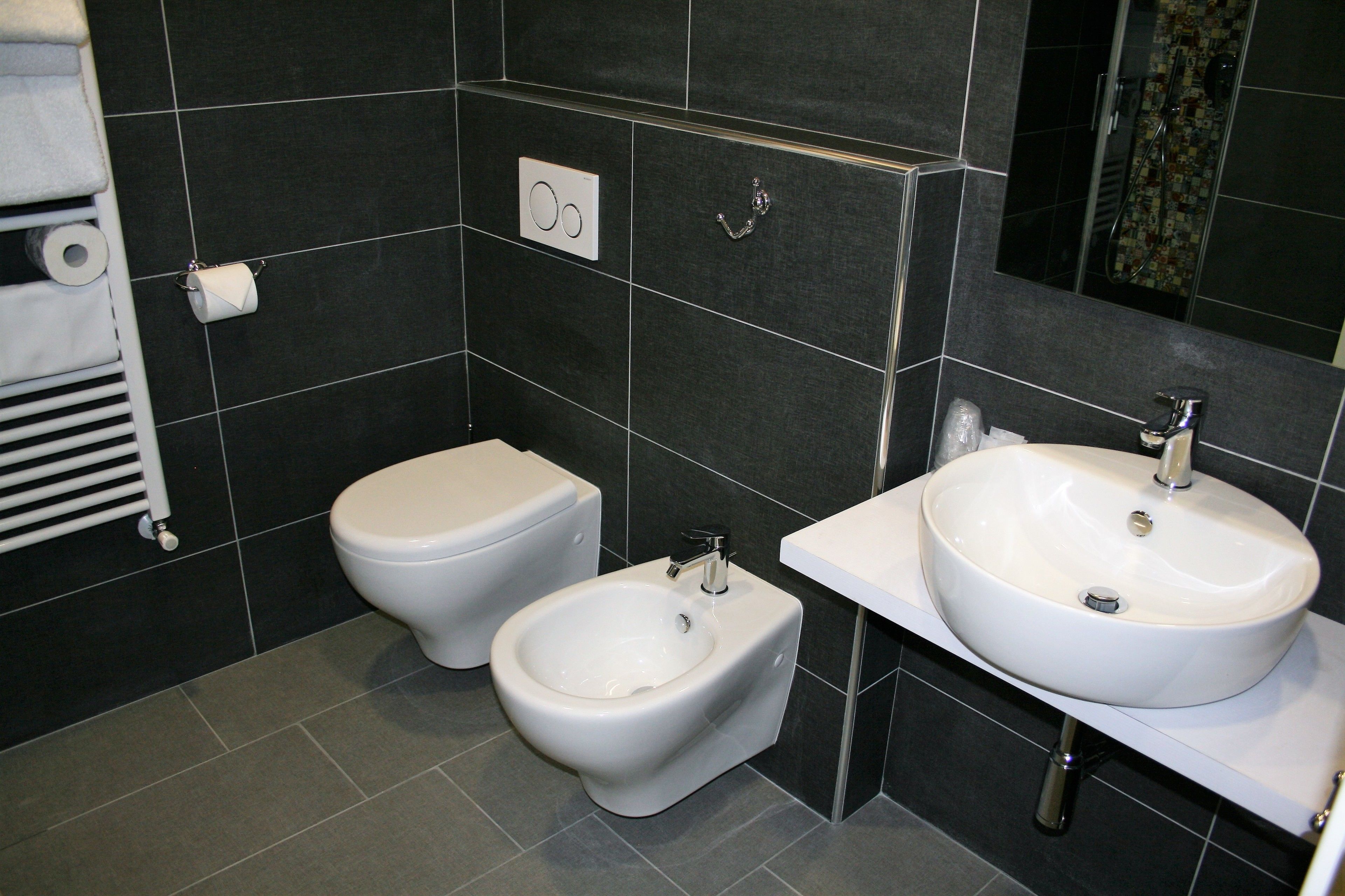 shower, free toiletries, hair dryer, bidet