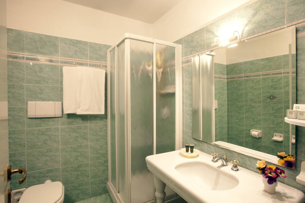 shower, free toiletries, hair dryer, slippers