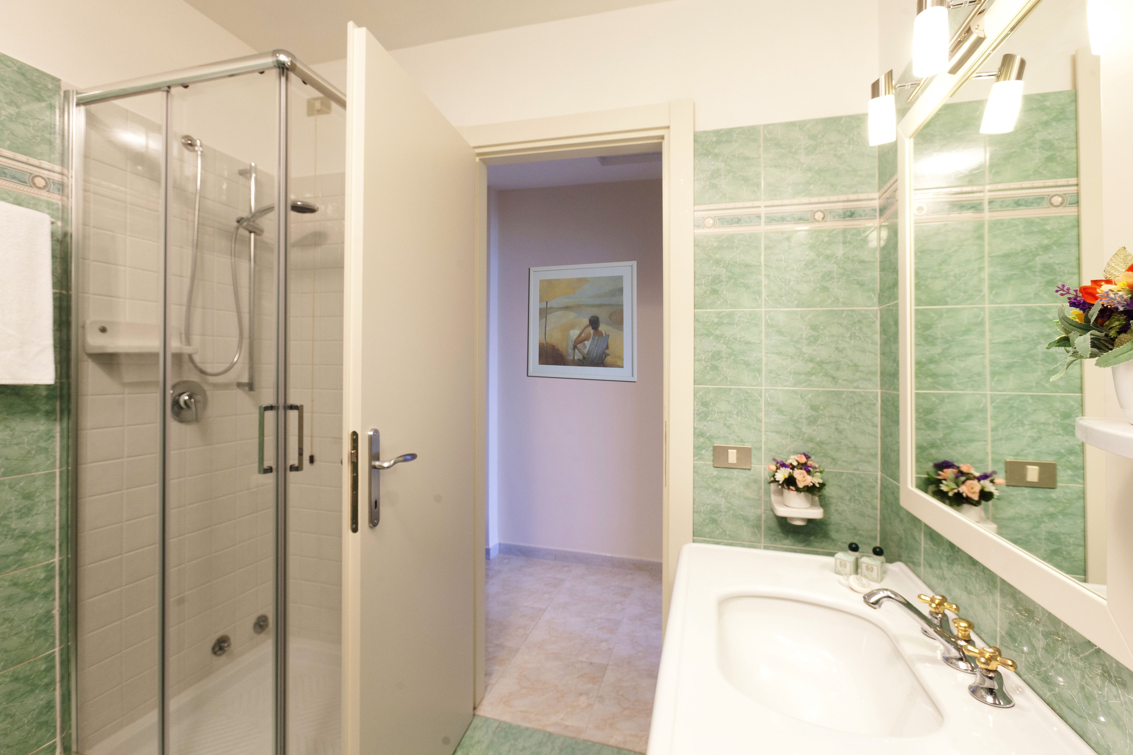 shower, free toiletries, hair dryer, slippers