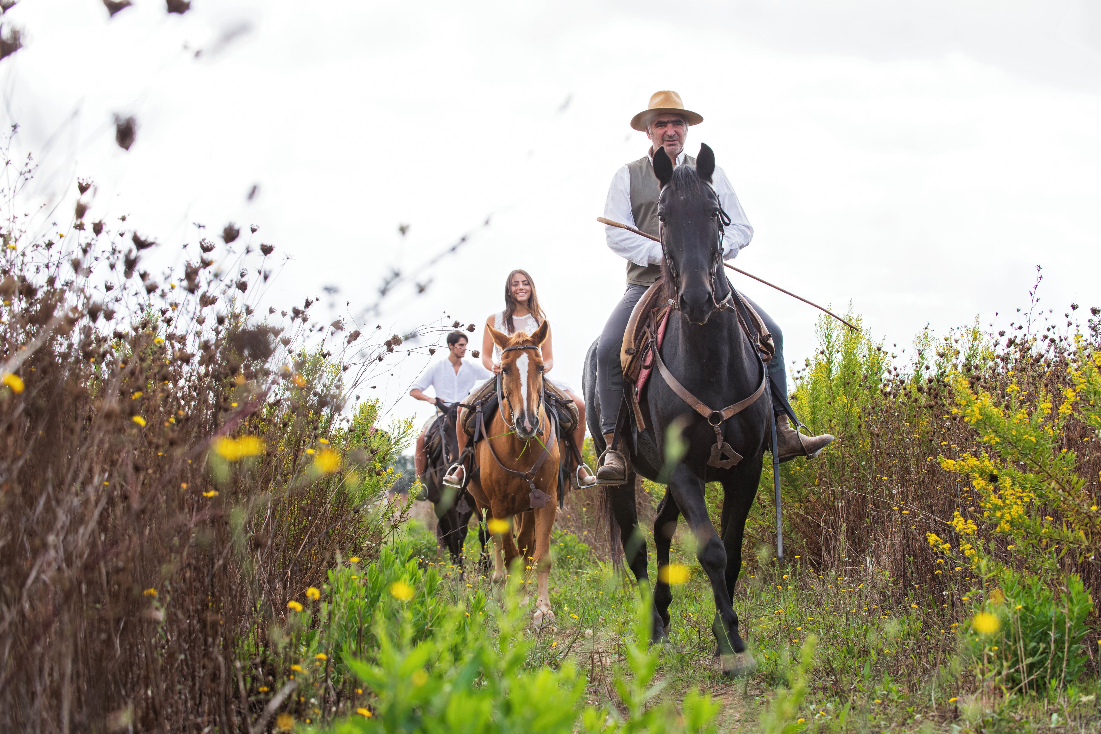 A person riding a horse in a natural setting with wildflowers and grasses.