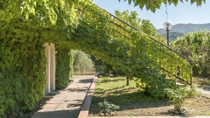 A pathway lined with grapevines and a lamp post, leading to a building with a white facade. - Hotel Fabricia (Portoferraio)