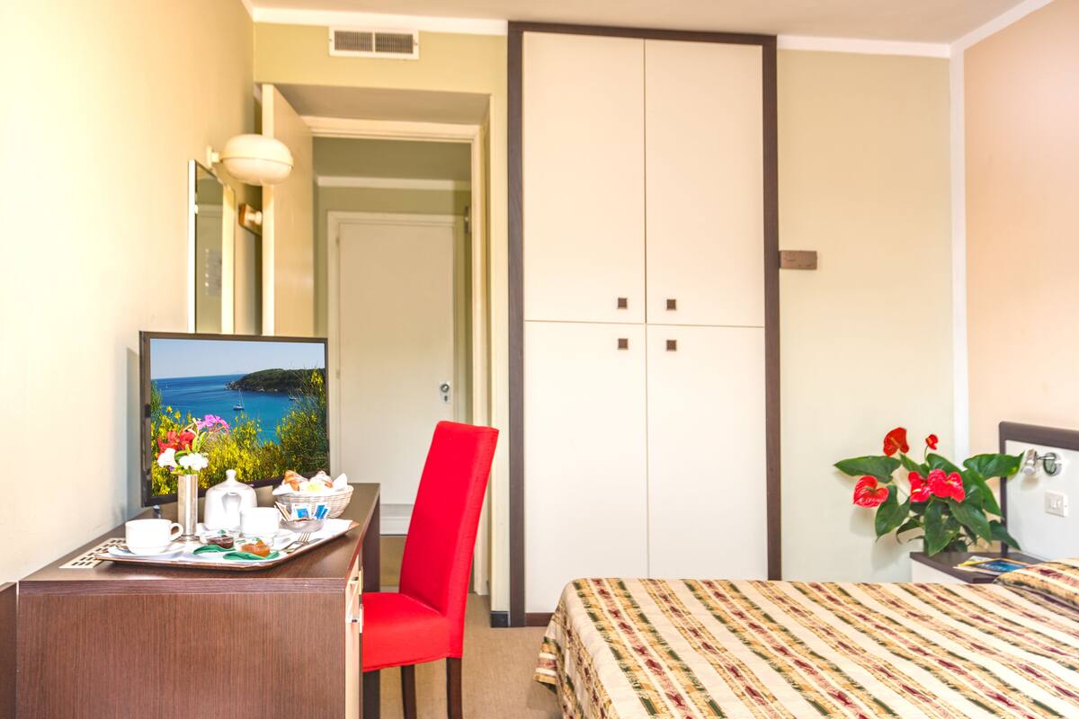 A hotel room with a bed, a desk with a chair, a television, a wardrobe, and a view of the sea.