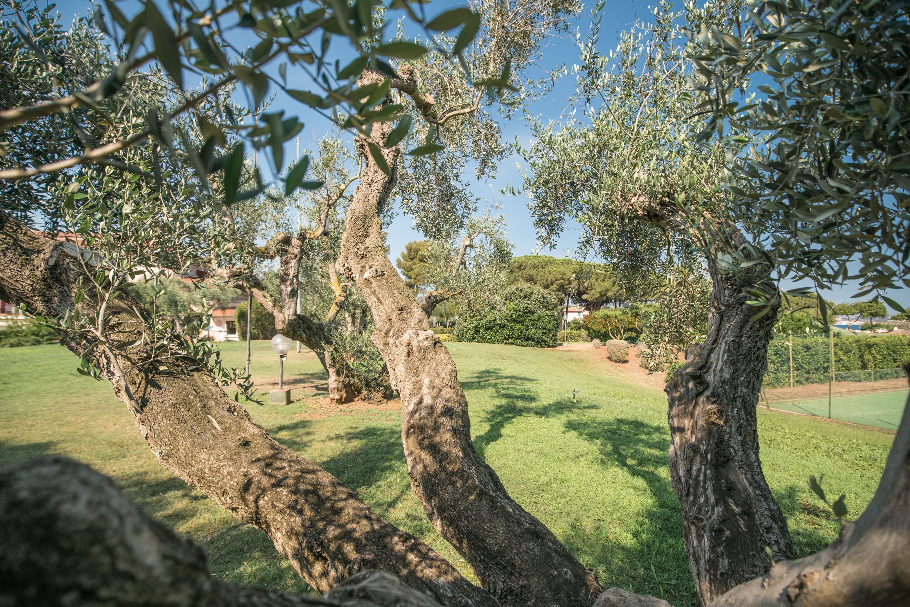 Photo - Hotel Fabricia