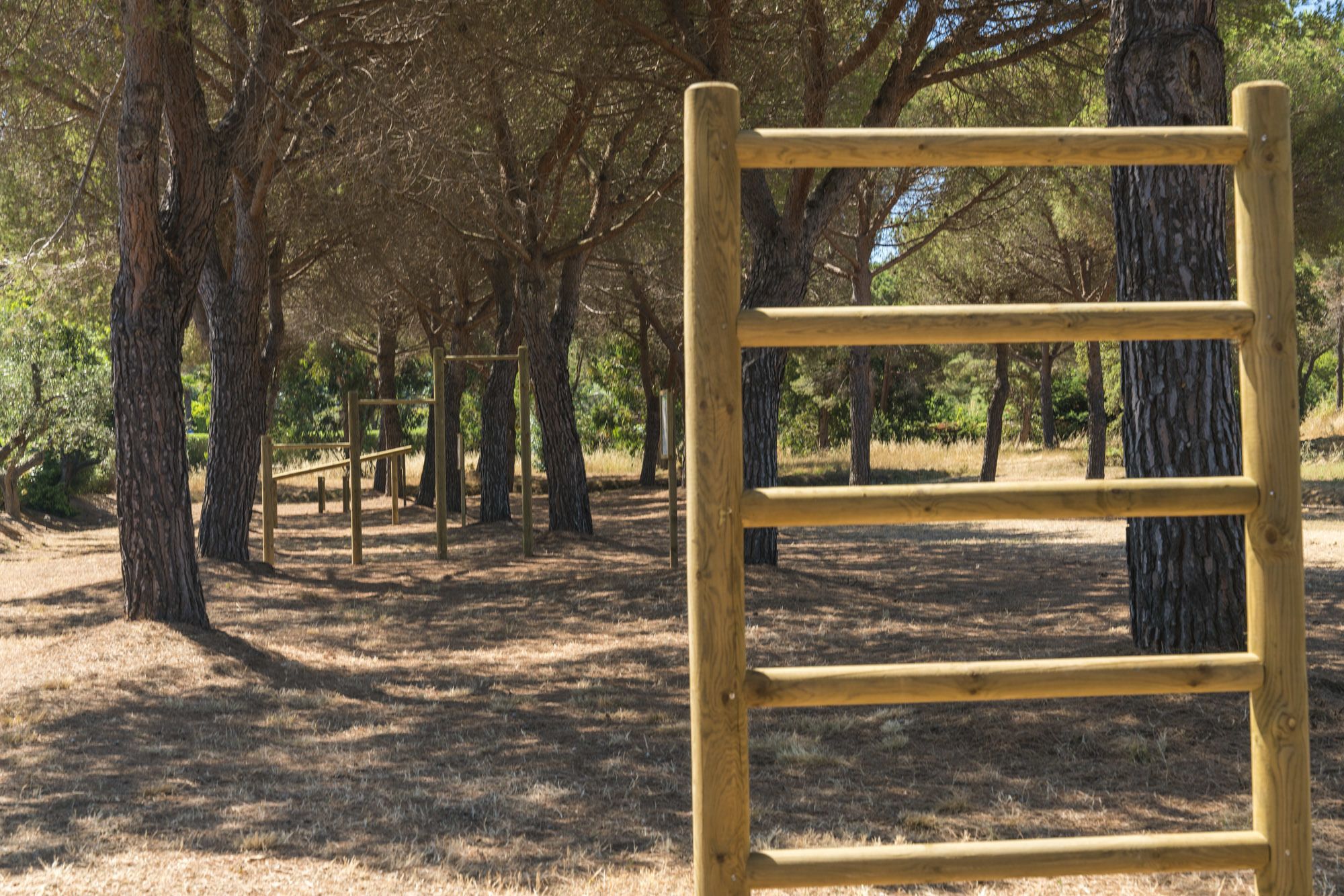 A wooden ladder in a wooded area with trees and a grassy ground.