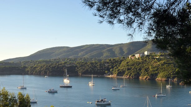 A coastal marina with multiple sailboats anchored in calm waters, surrounded by lush green hills and a clear sky. - JR Resort Elba International (Capoliveri)