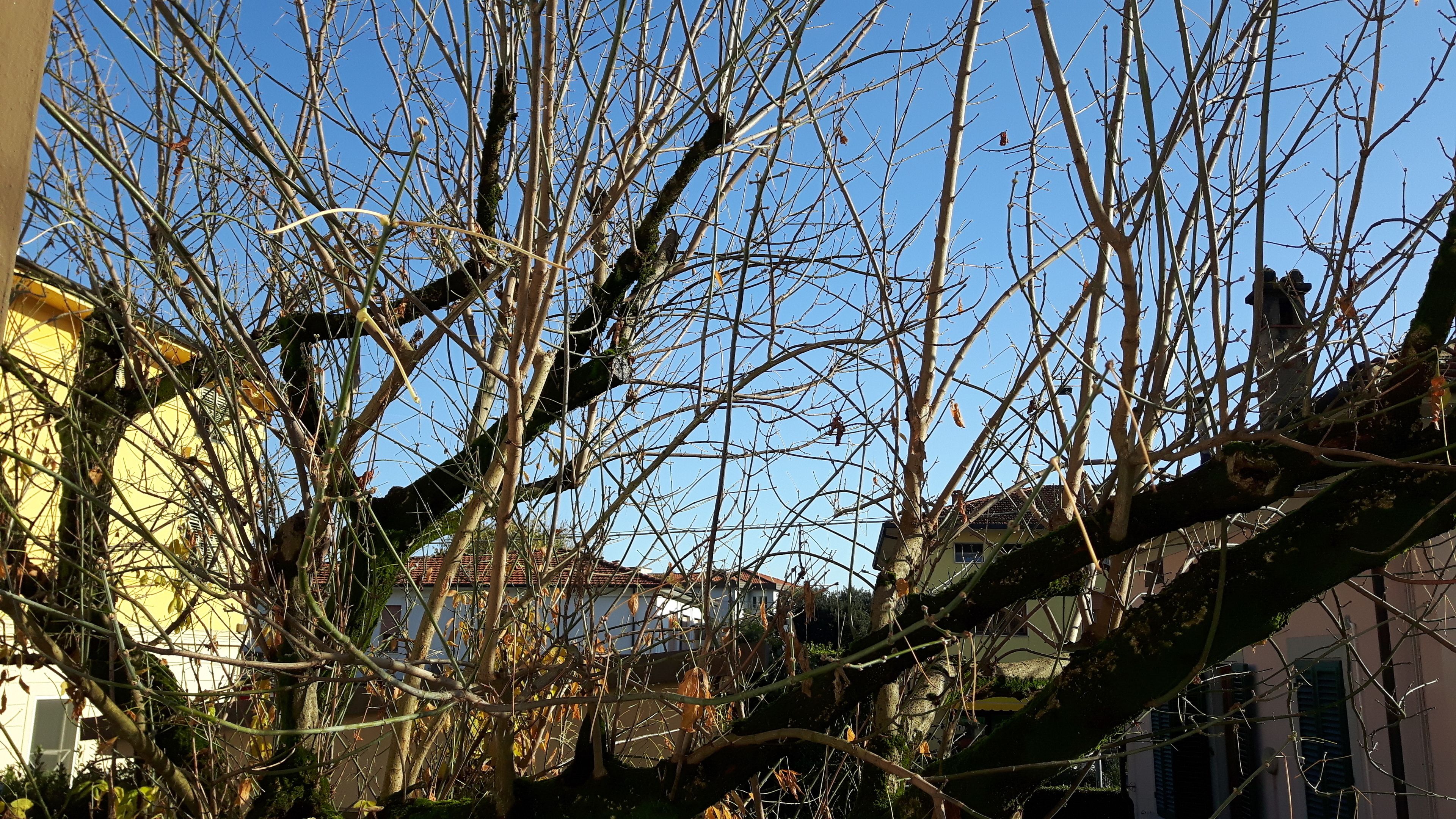 family room | city view