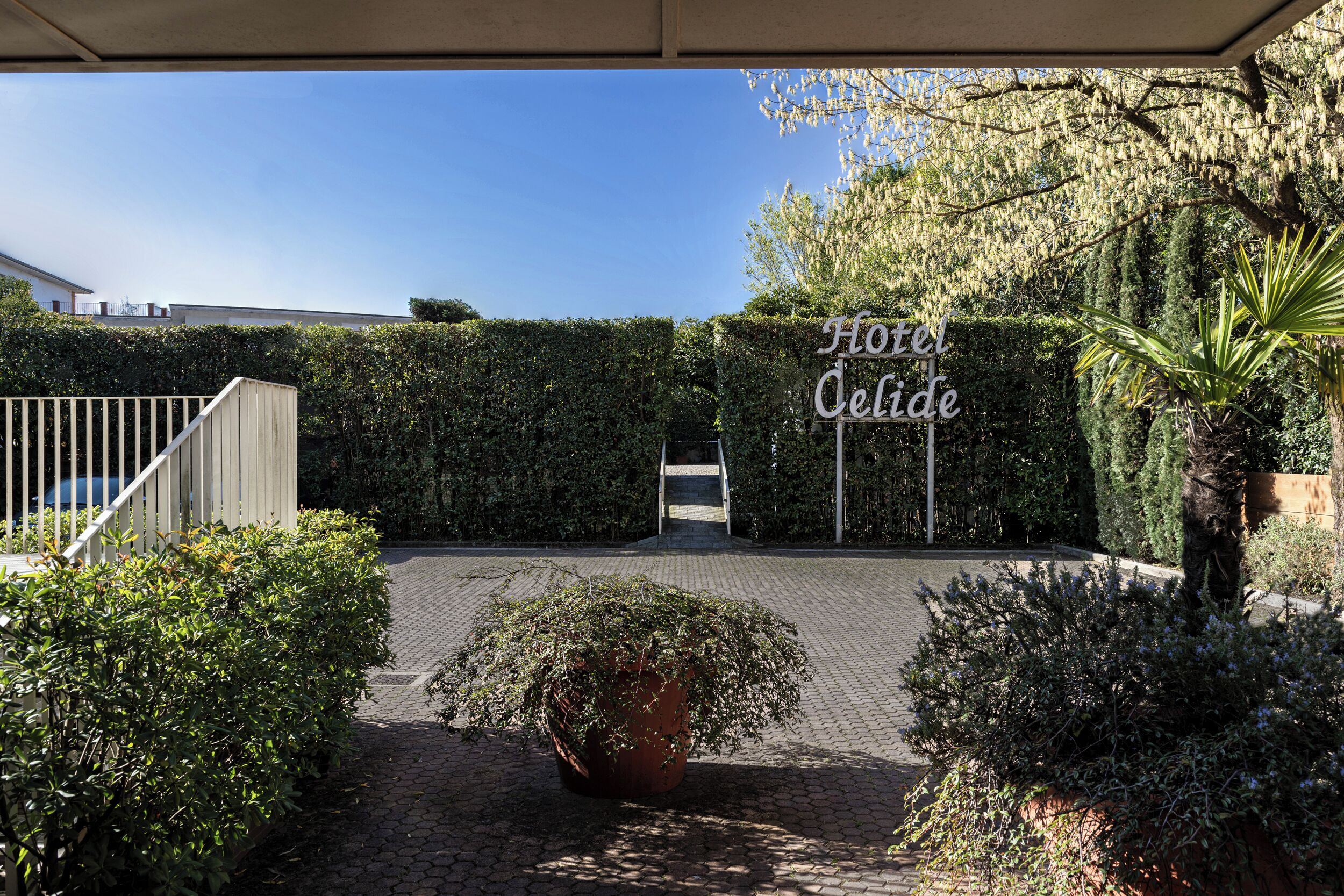 Foto - Albergo Celide