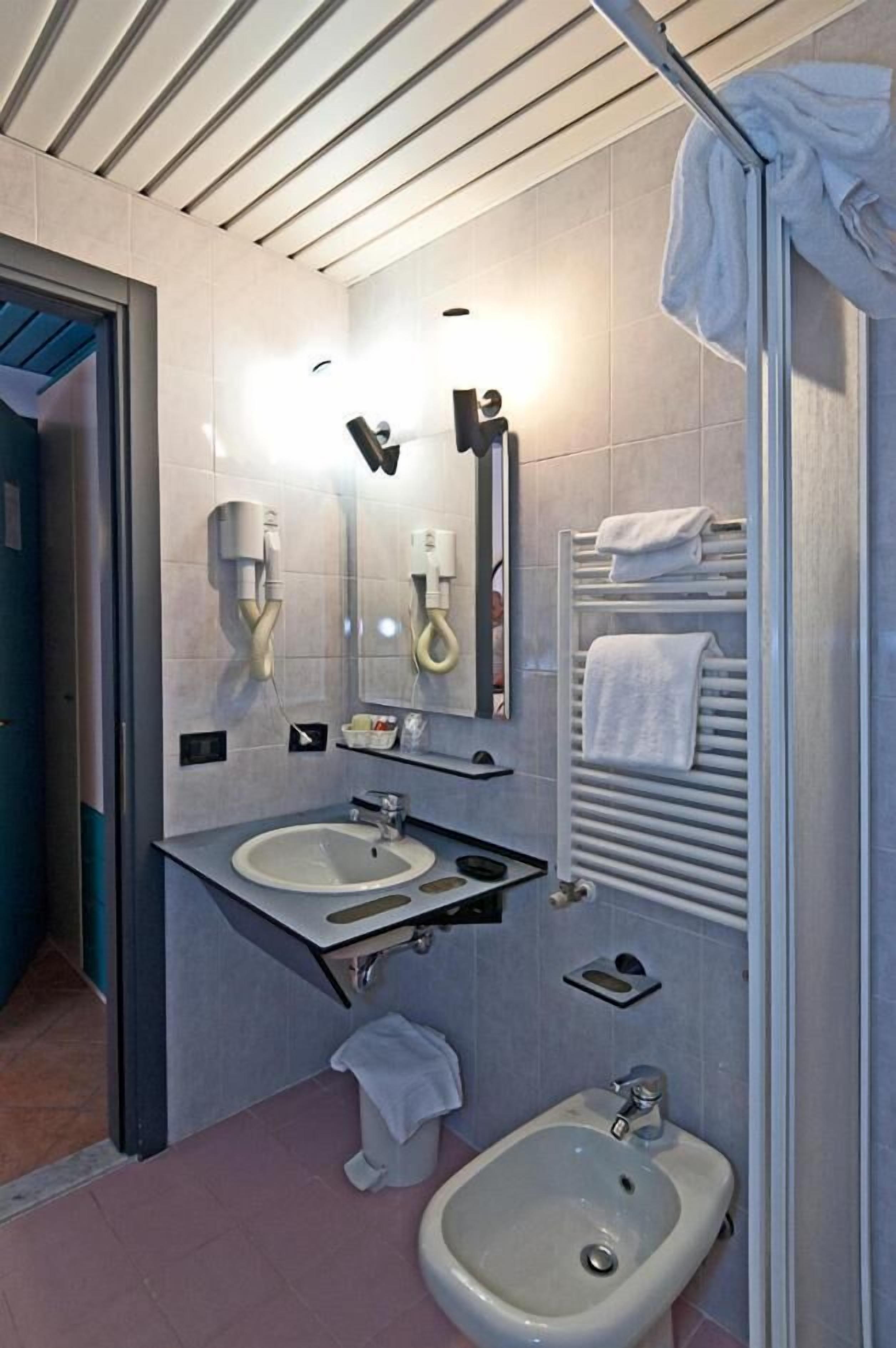 shower, free toiletries, hair dryer, bidet