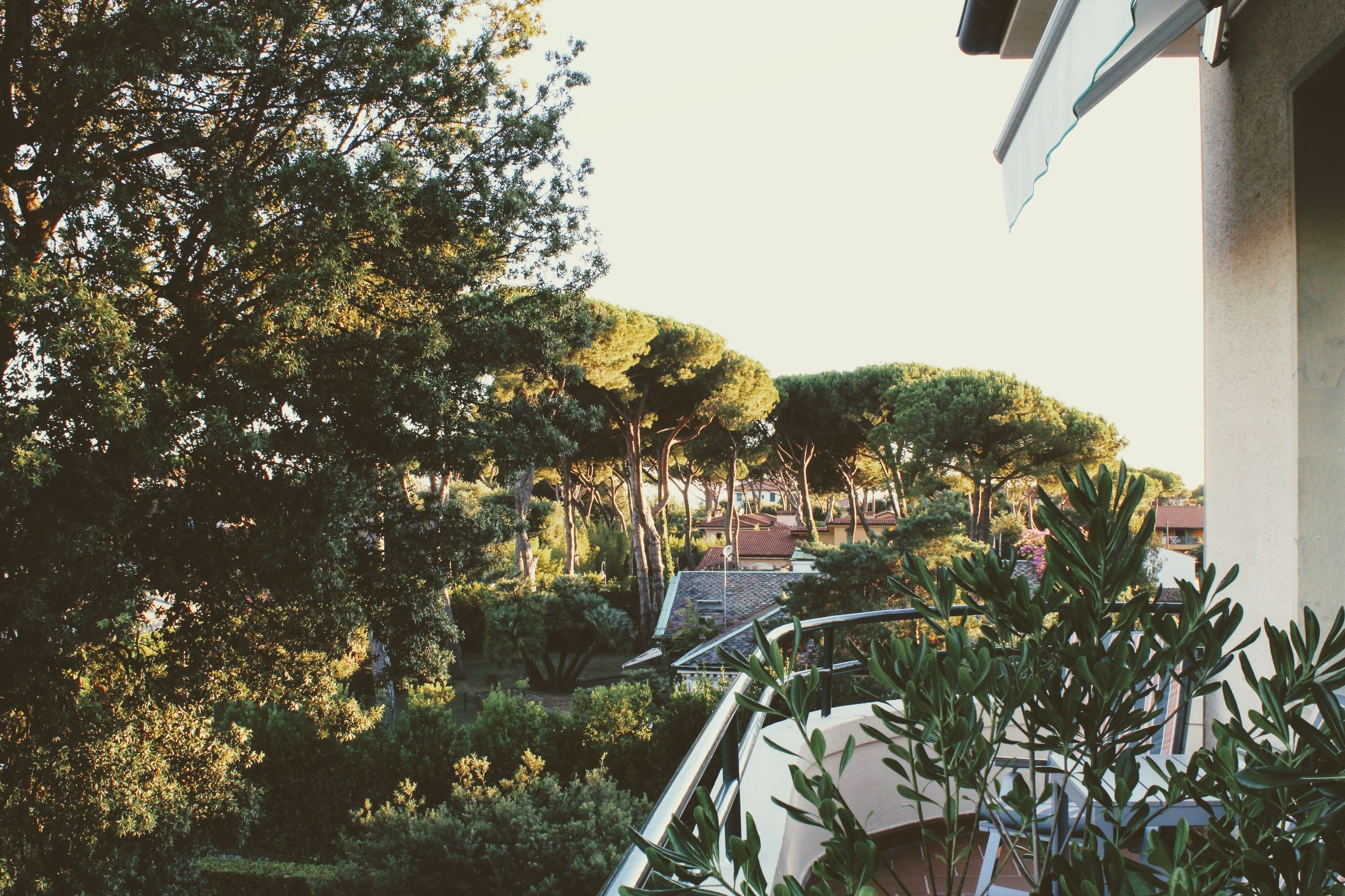 Standard Double Room | Minibar, in-room safe, desk, free WiFi