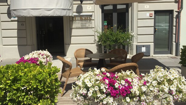An outdoor seating area with wicker chairs and a table, surrounded by potted plants and flowers. - Hotel Katy (Viareggio)