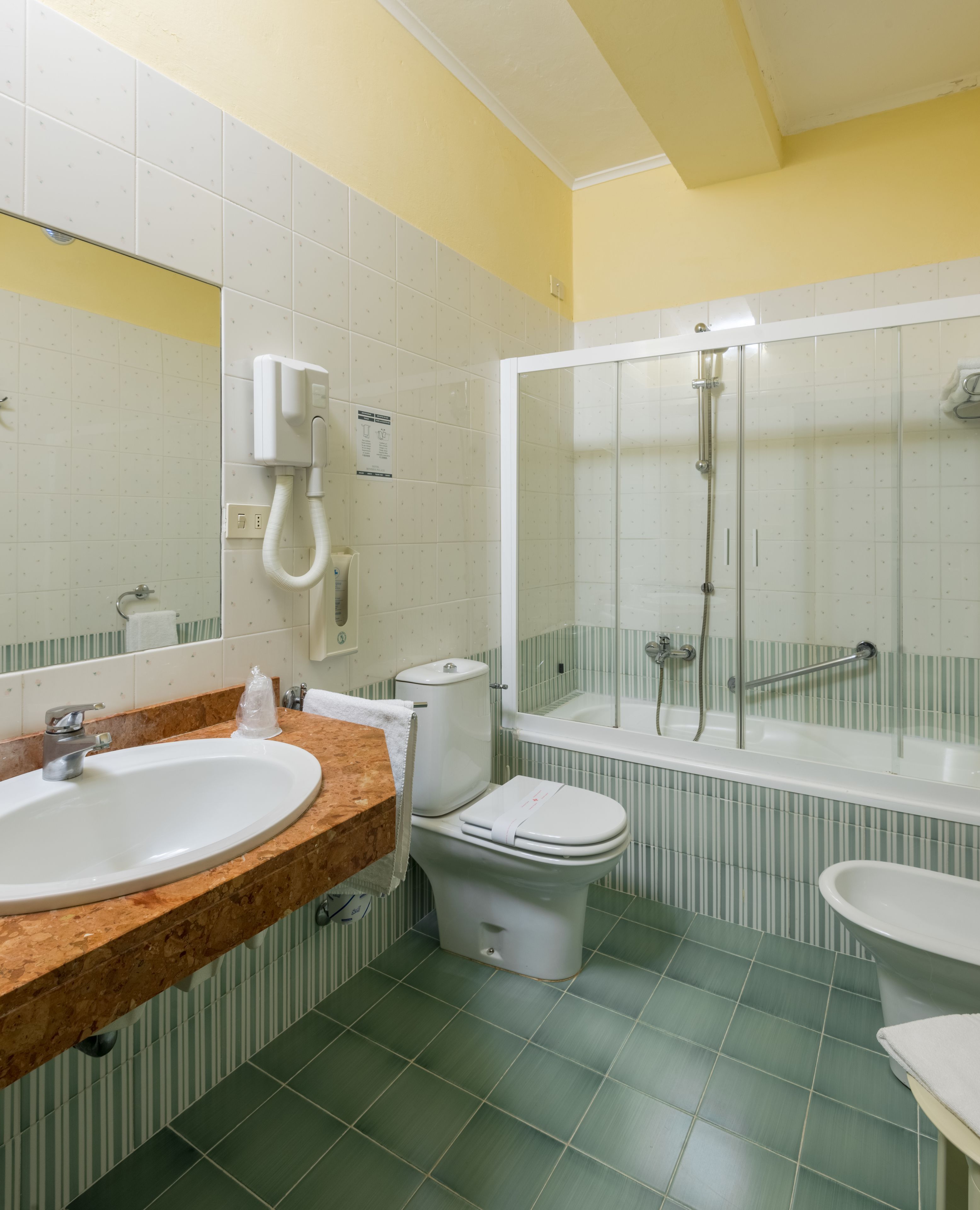 combined shower/bathtub, free toiletries, hair dryer, bidet