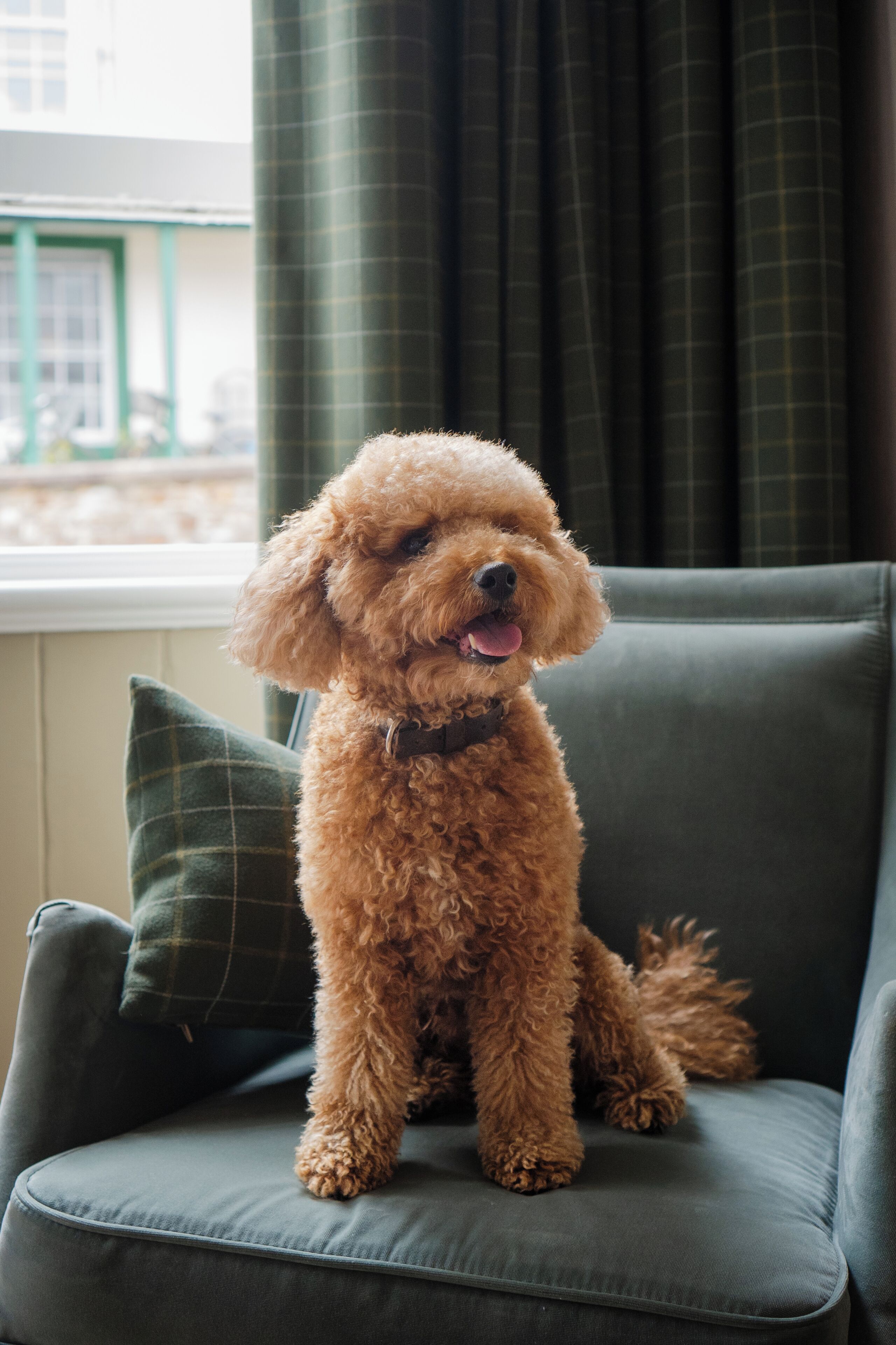 1 bedroom, in-room safe, desk, iron/ironing board