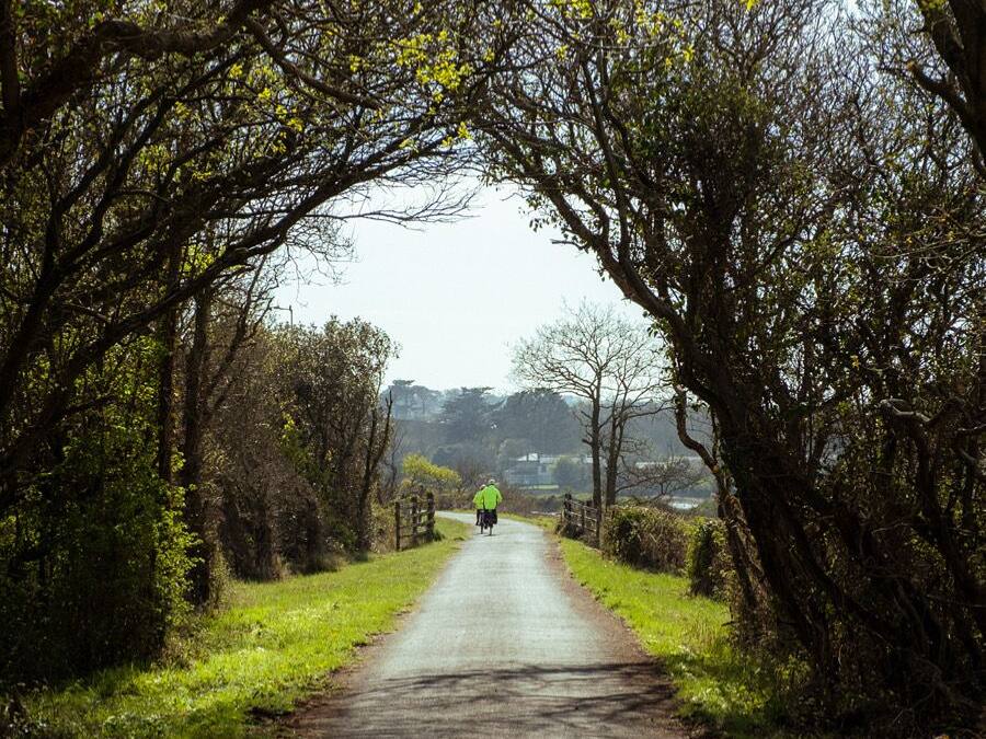 A rural road flanked by trees and grass, leading to a distant view of a house.