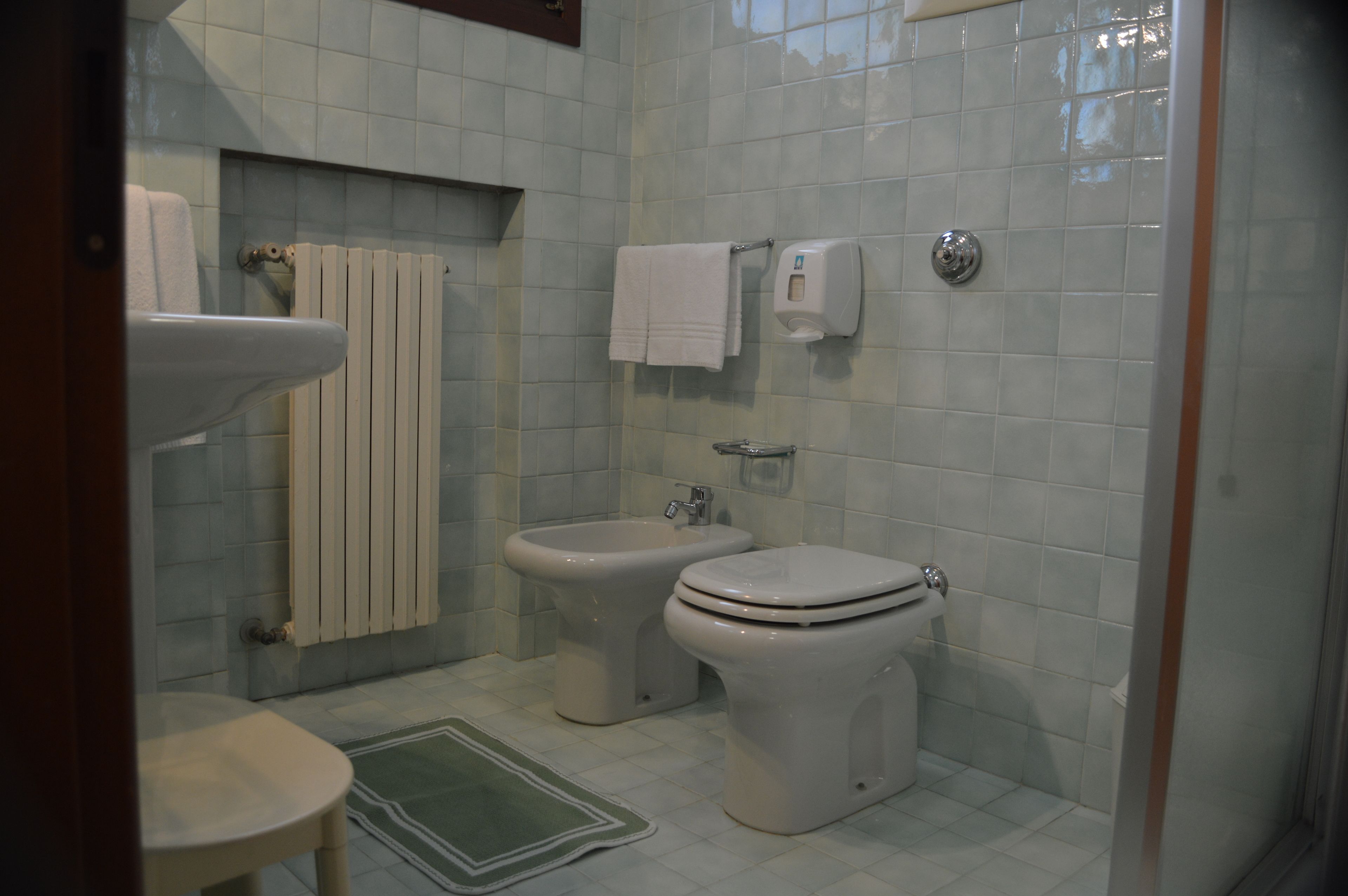 shower, free toiletries, hair dryer, bidet