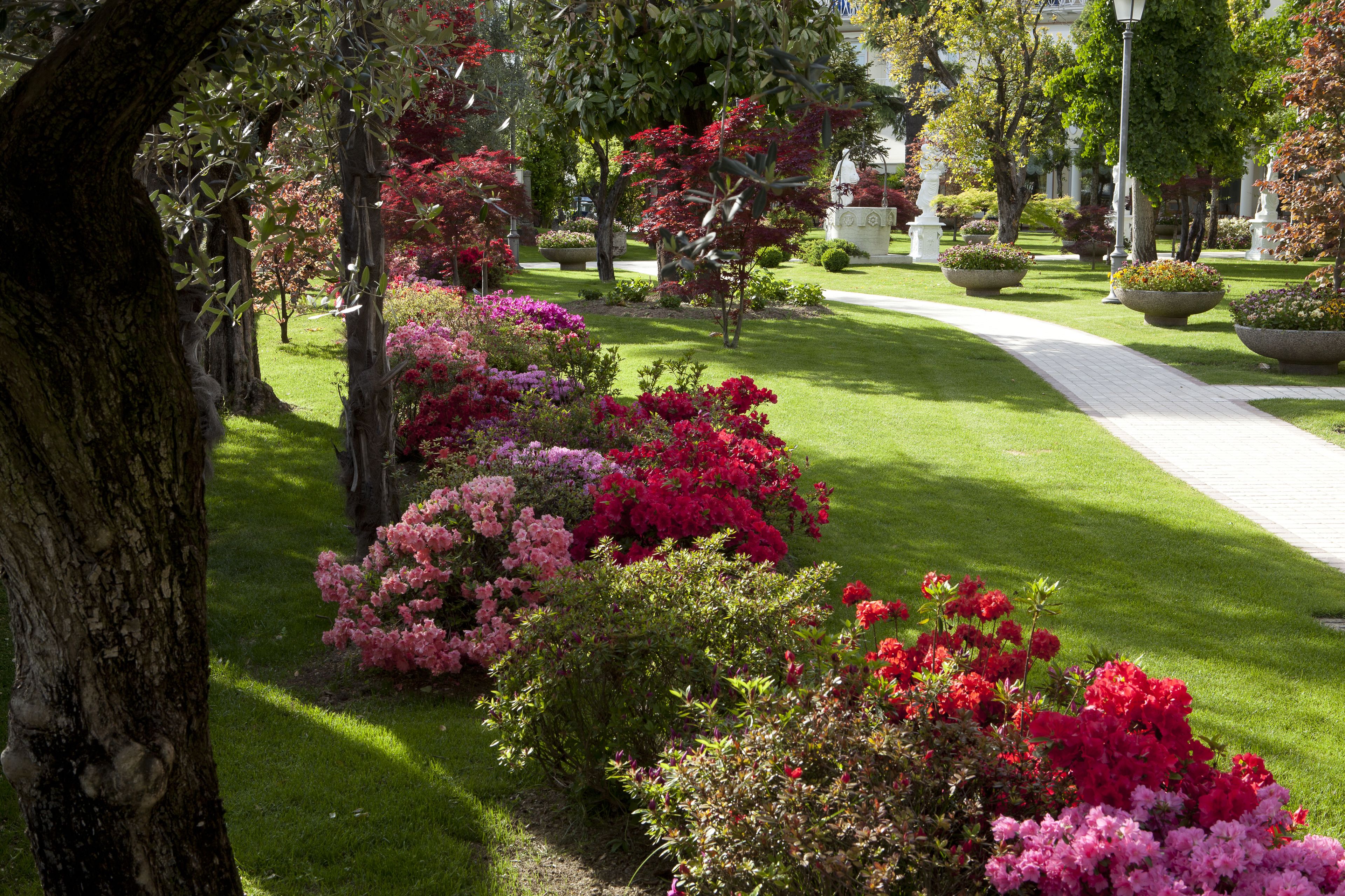 Foto - Hotel Due Torri