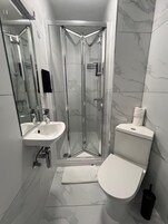 A modern bathroom with a glass shower enclosure, a sink, and a toilet.
