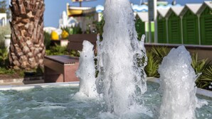 A water fountain with palm trees and a sailboat in the background. - Tiffany's (Riccione)