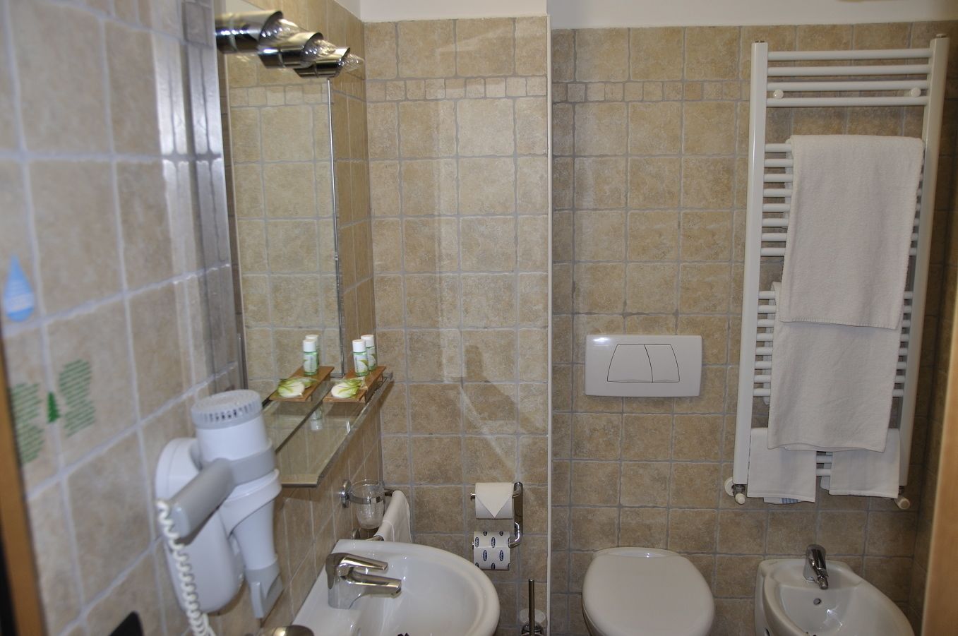 shower, free toiletries, hair dryer, bidet