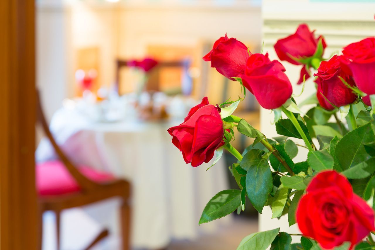 Classic Double Room Single Use | Minibar, in-room safe, soundproofing, free WiFi