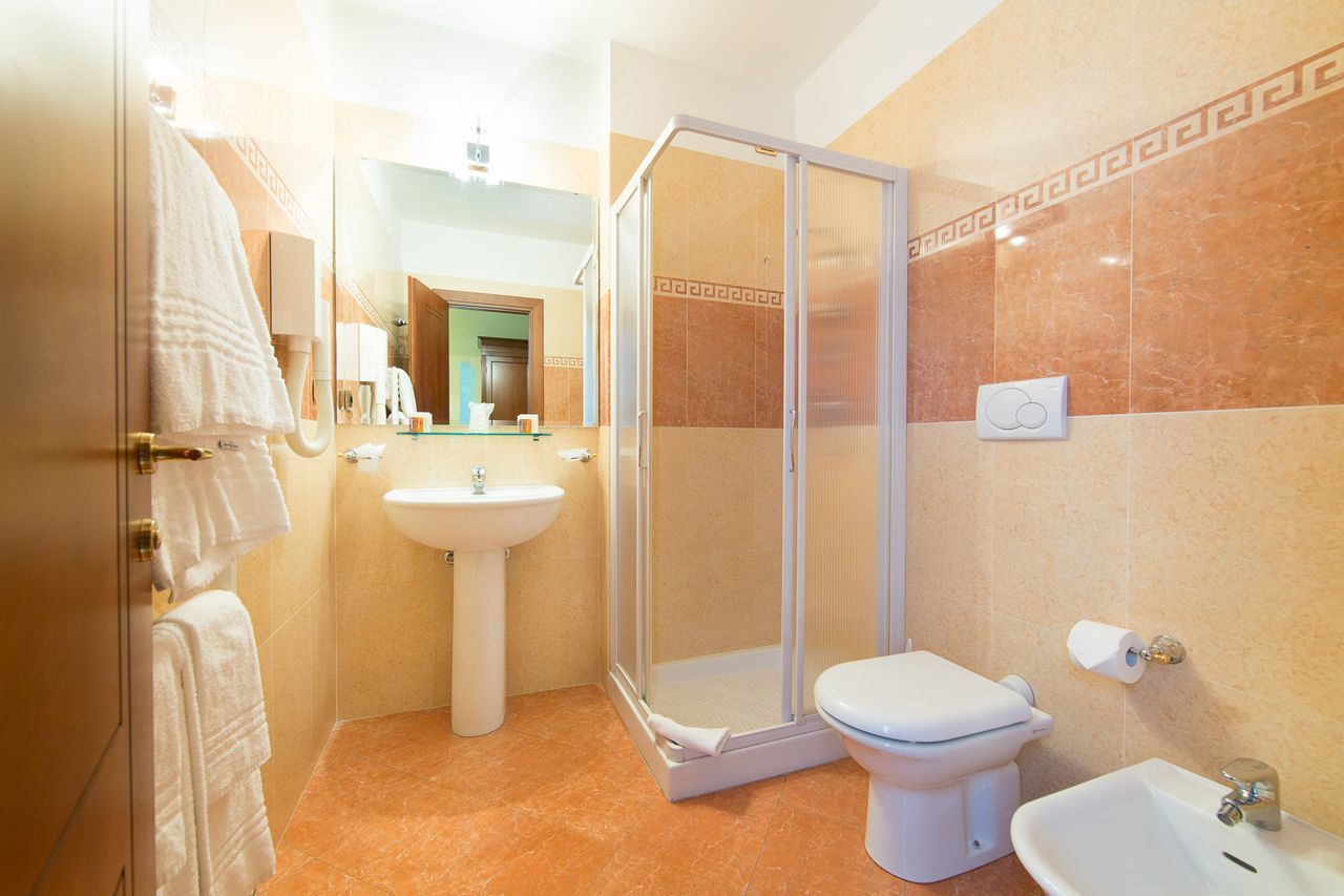 shower, free toiletries, hair dryer, towels