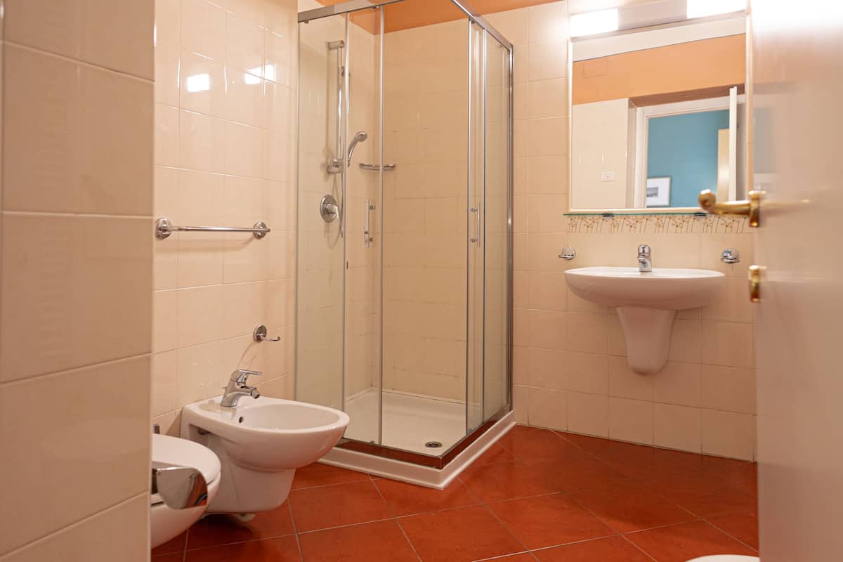 shower, free toiletries, hair dryer, bidet