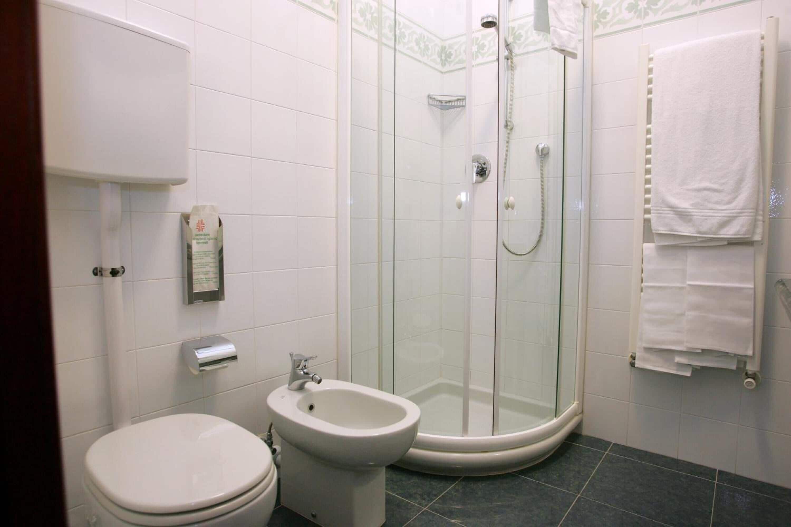 free toiletries, hair dryer, bidet, towels