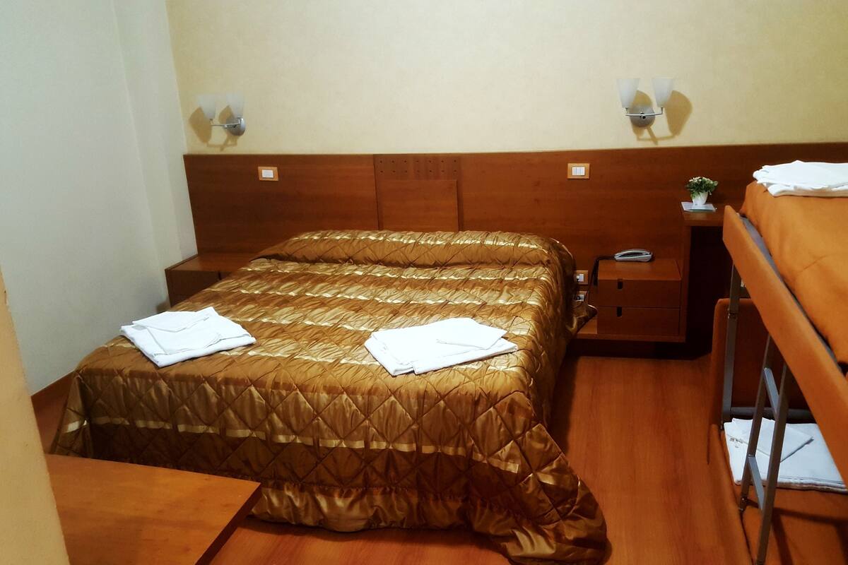 A hotel room with a single bed, a wooden headboard, a bedside table with a lamp, and a small table with a plant.